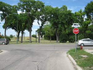 Looking north into Stanley Knowles Park from the intersection of Winks and Logan